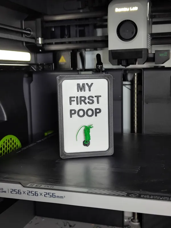 https://makerworld.bblmw.com/makerworld/model/USd024f963fe8e03/design/2024-04-03_4835fe8b23959.jpg