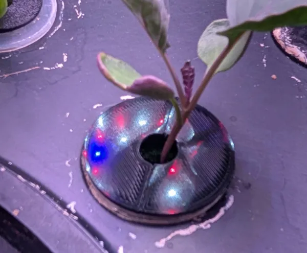 https://makerworld.bblmw.com/makerworld/model/USd0270503467691/design/2025-01-18_4d3943199c324.jpg