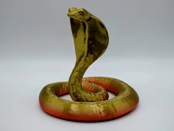 https://makerworld.bblmw.com/makerworld/model/USd03967365a1438/design/2024-12-27_8d7c6034229a68.jpg