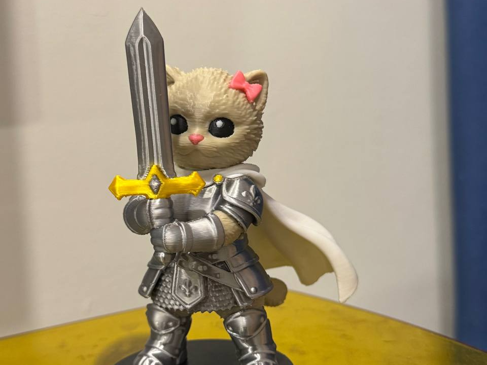 Knight cat - 1