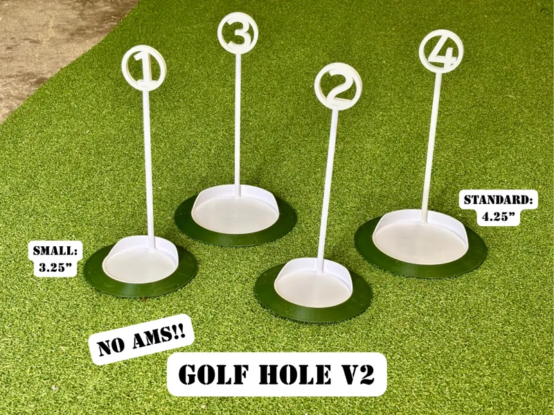 Golf Practice Hole v2 - With Pins
