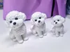 Family of Three (AMS Version) 0.2mm layer, 2 walls, 10% infill