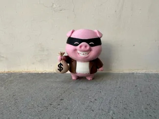 Little bandit pig