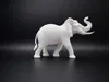 Male African Elephant