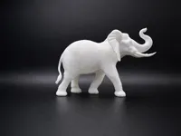 Male African Elephant