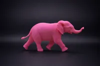 Baby African Elephant