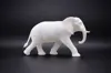 Female African Elephant