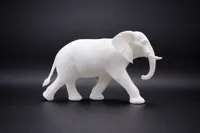 Female African Elephant