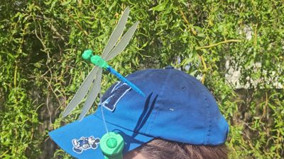 Dragonfly Mosquito deterrent