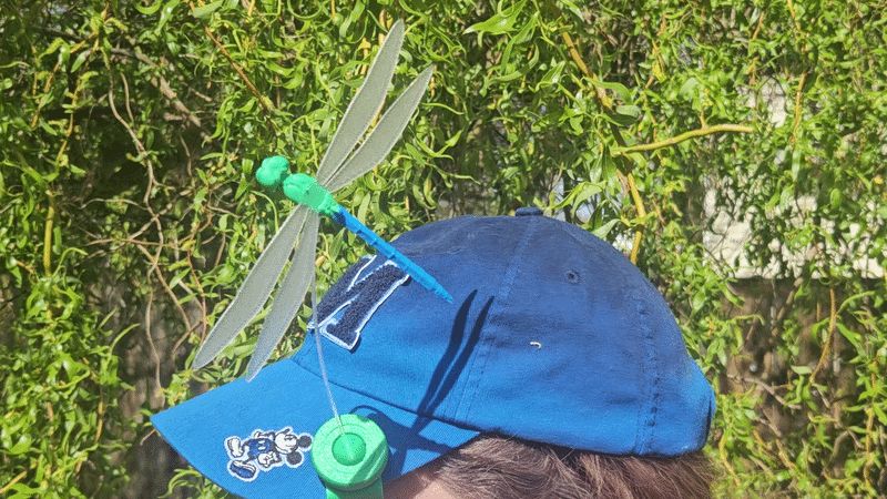 Dragonfly Mosquito deterrent