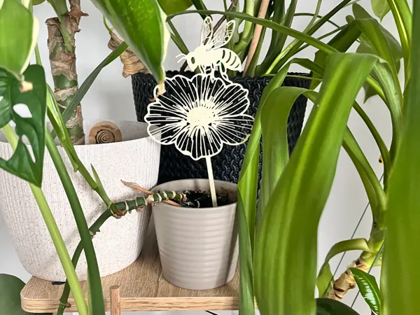 https://makerworld.bblmw.com/makerworld/model/USd04bcccde1fa1/design/2025-09-27_4d6636a320219.jpeg
