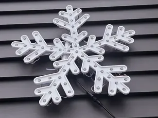 Munro Snowflake 01