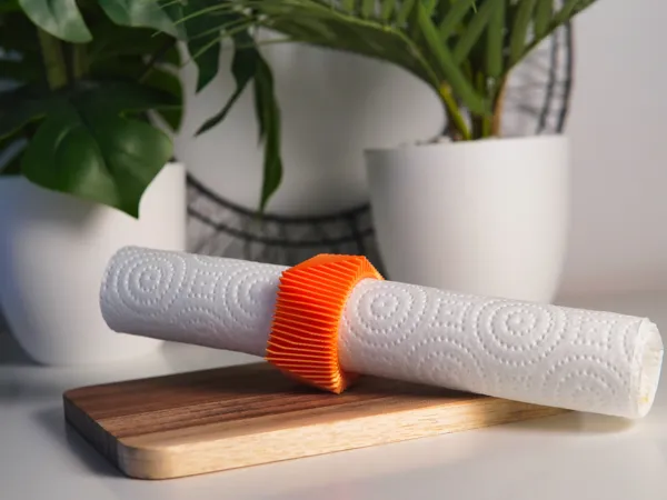 https://makerworld.bblmw.com/makerworld/model/USd05233a7e37db7/design/2025-11-22_da3869f89b21c8.jpg