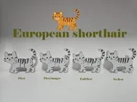 European shorthair no flexi