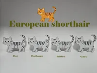 European shorthair flexi