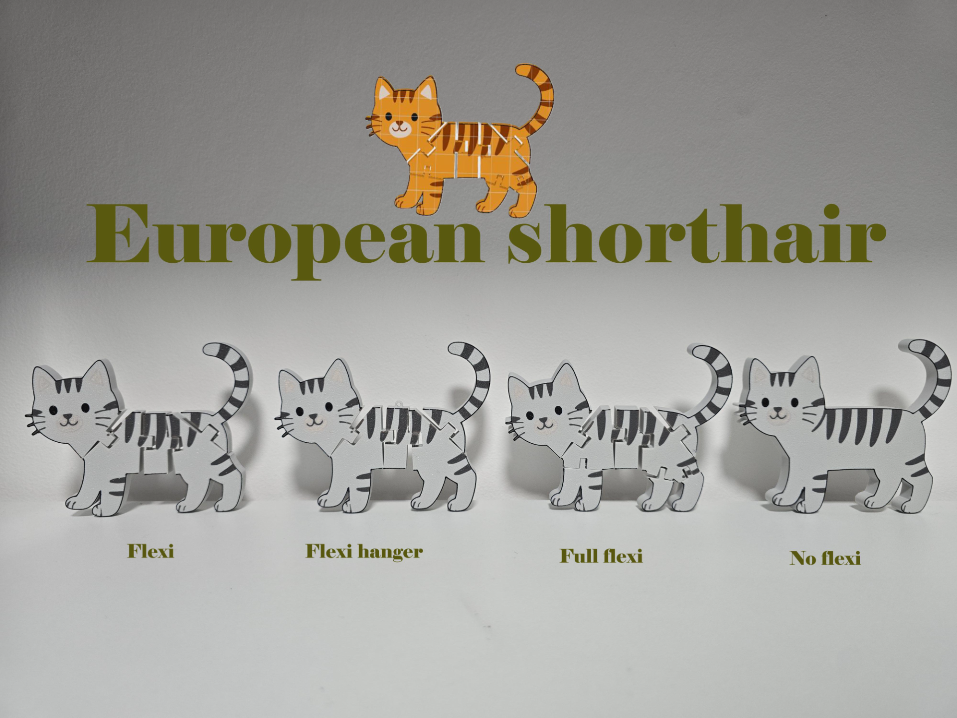 European shorthair cat flexi - keychain
