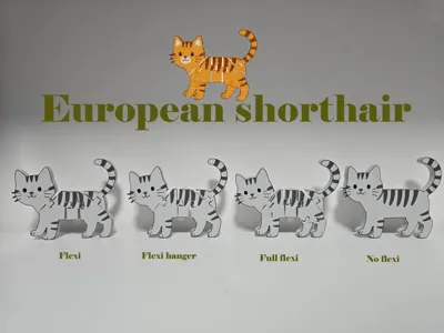 European shorthair cat flexi - keychain