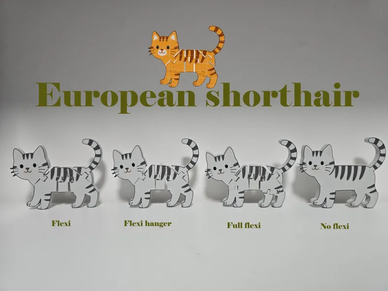 European shorthair cat flexi - keychain