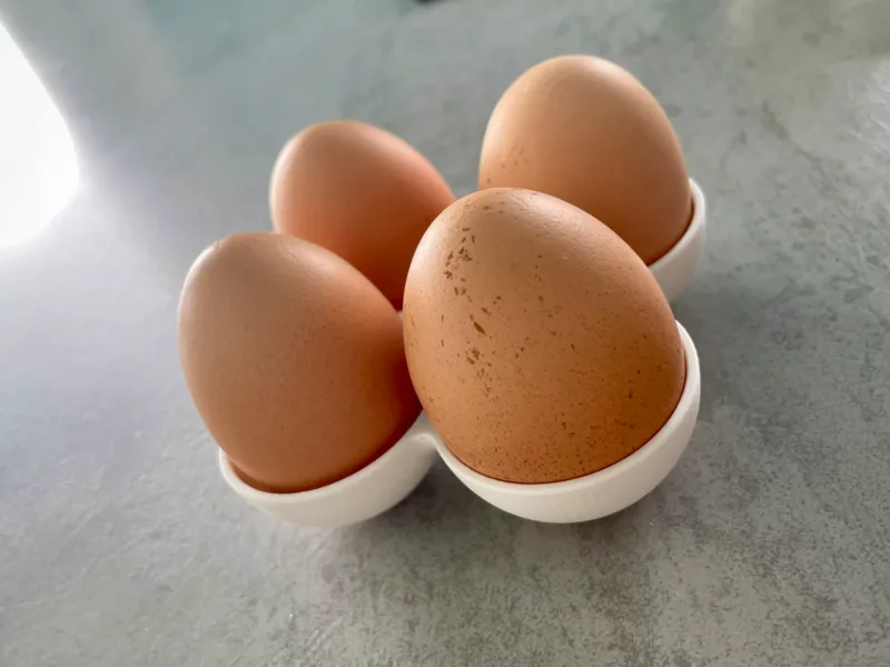 Quadruple EggCup