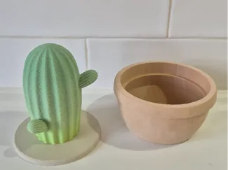 sculpture cactus echinocerus