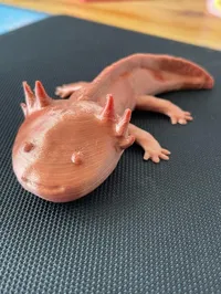 0.16mm layer, 3 walls, 15% infill