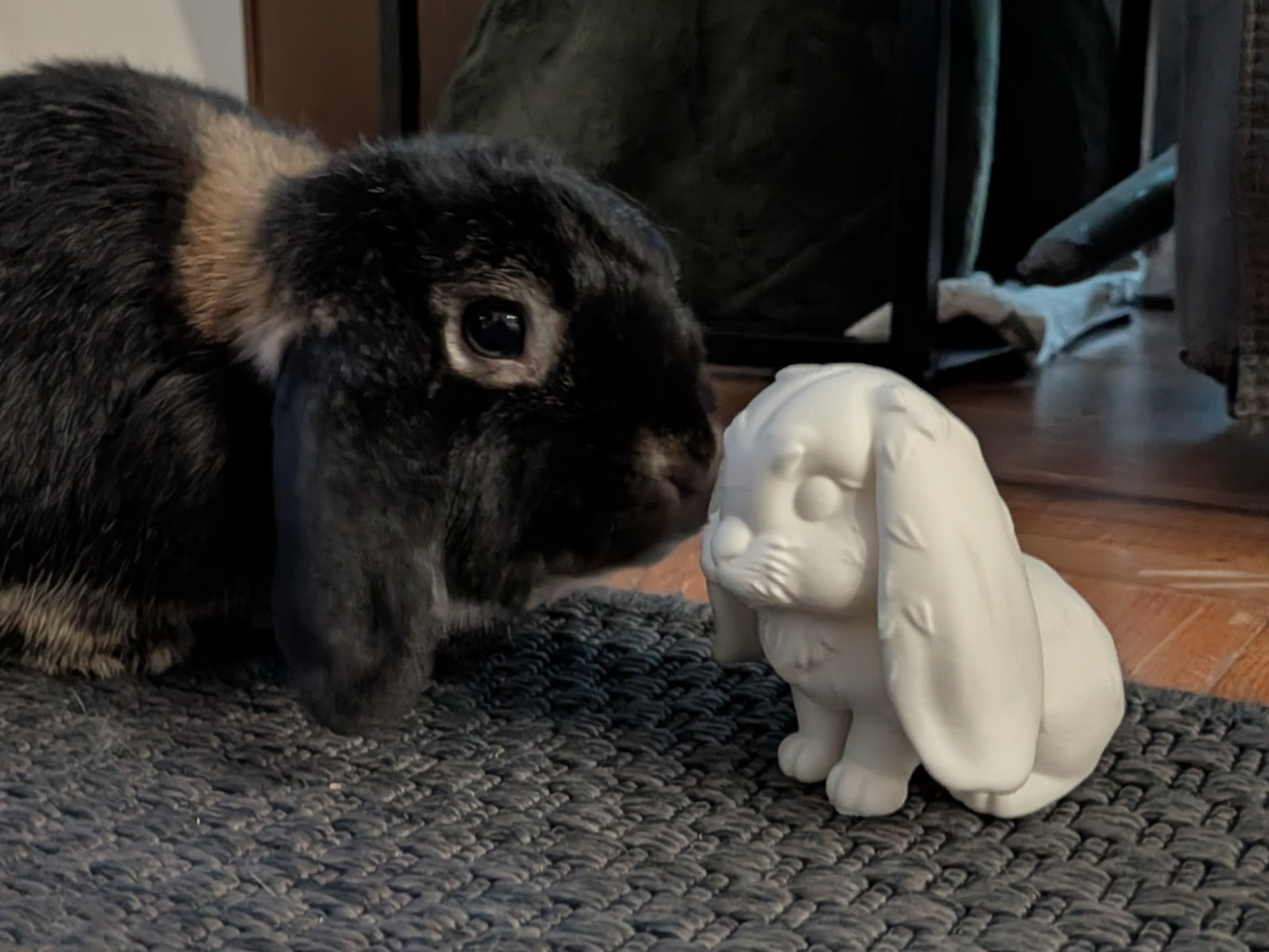 Holland Lop Bunny – 3D Printable Figurine