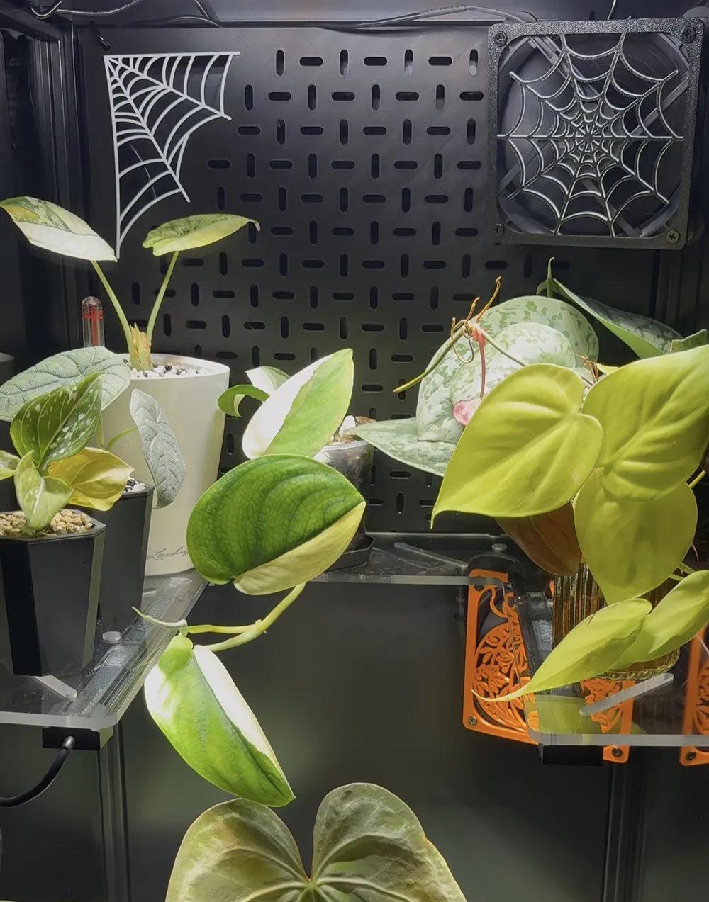 Monstera Fan Fan Cover 80 & 120mm - Multiple Designs; Monstera - Free 3D Print Model ...