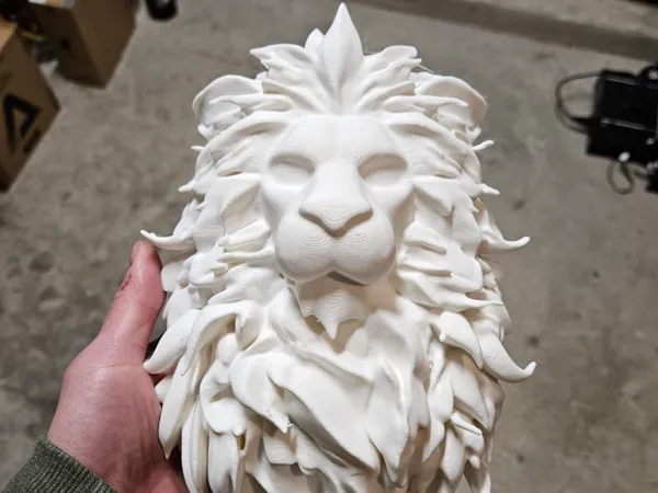 https://makerworld.bblmw.com/makerworld/model/USd06adf449fca00/design/2025-01-30_54531042ef749.jpg
