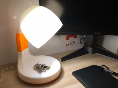 2-in-1 Lamp: Ambiance and Lighting (LEDLampkit001)