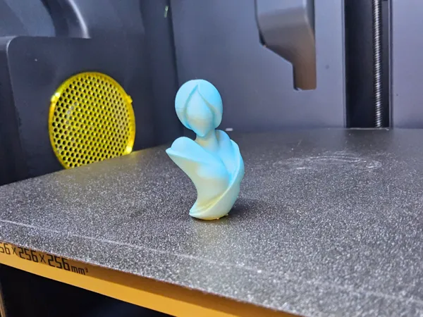 https://makerworld.bblmw.com/makerworld/model/USd07306a3348d09/design/2024-12-07_6750d2122d0ea.jpg