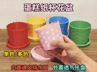 ①单色花盆