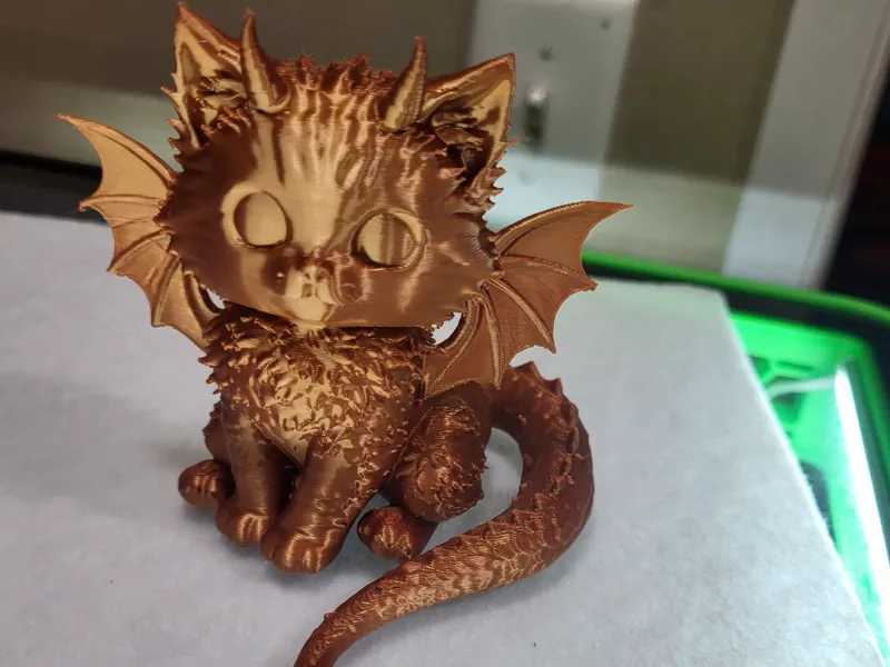 Dragon Kitten