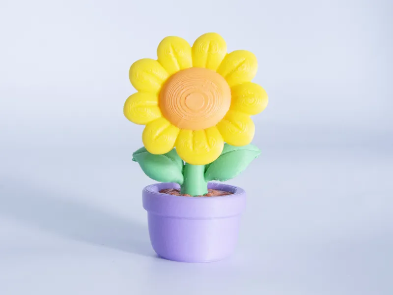 Sunflower Plant