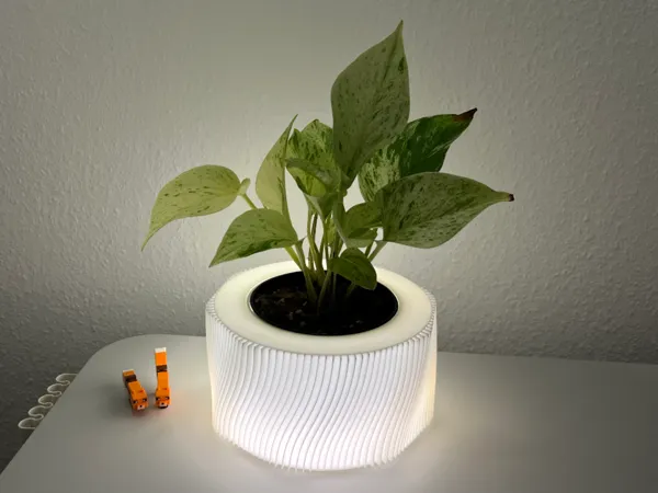 https://makerworld.bblmw.com/makerworld/model/USd0836e455c512e/design/2025-02-14_50c5d9a7b98e5.jpeg