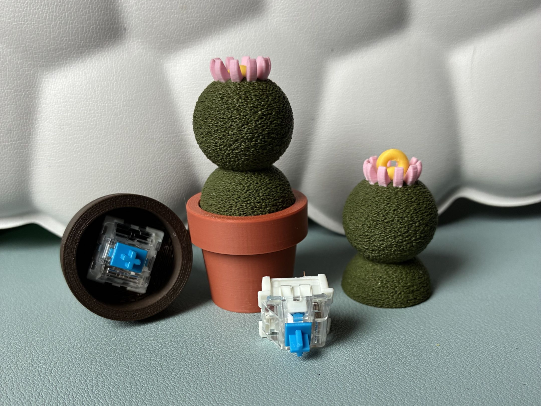 Fidget Clicker Cactus – Classique & Porte-Clés