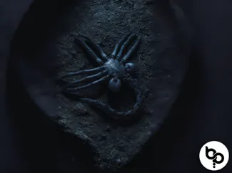 Flexy Facehugger
