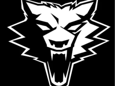 Special Training Unit 500. Bodark Patch / Logo
