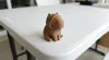 0.16mm layer, 2 walls, 15% infill Flattened bottom and brim