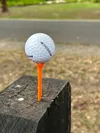 30 Golf Tees, 0.20mm layer height, Solid infill