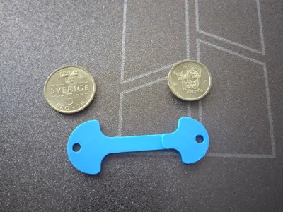 Customizable double coin shopping cart token