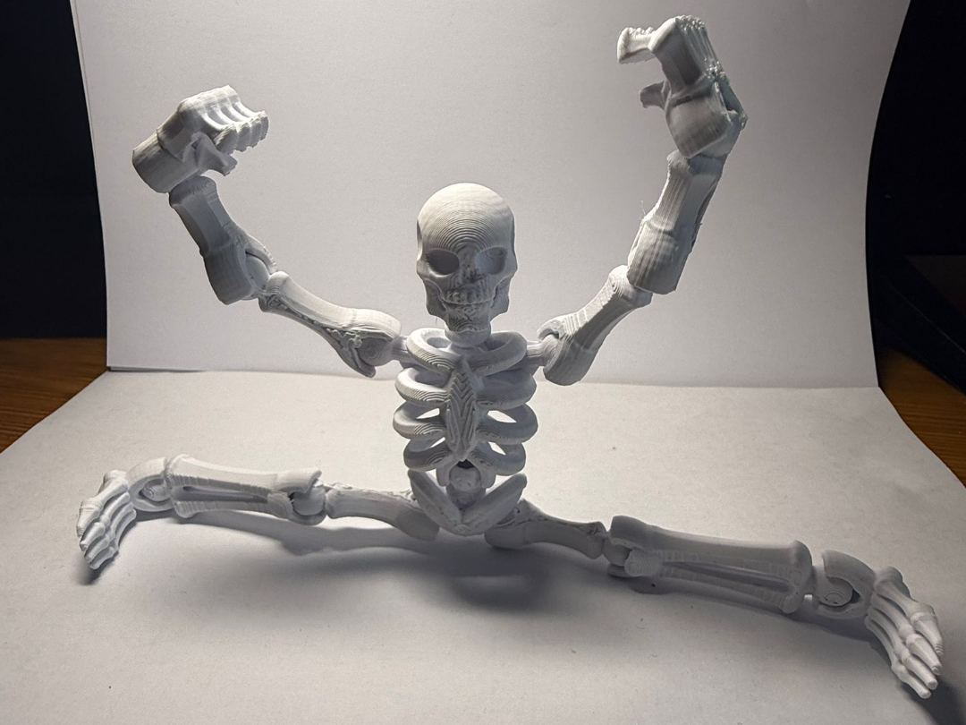 Scheletro articolato Flexi Skeleton  Fidget 3D