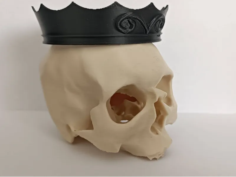 Skull with Crown