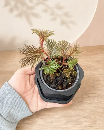 Letrero o emblema decorativo: Mai Bloom Nursery Cachepot & Saucer — vista de referencia 5