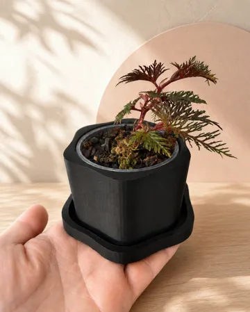 Letrero o emblema decorativo: Mai Bloom Nursery Cachepot & Saucer — vista de referencia 4