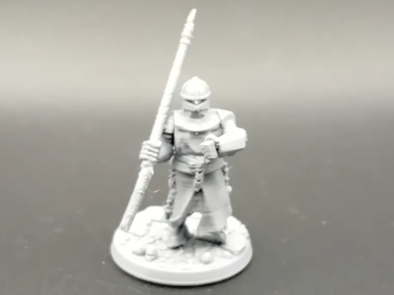 dnd town guard with spear- d&d fighter town guard