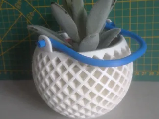Plant pot with handle