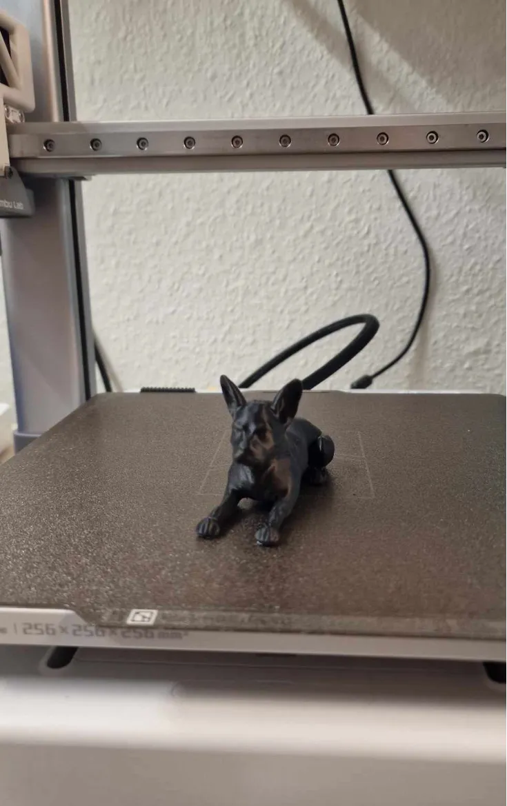 French Bulldog