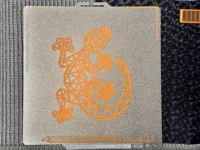 Lézard — photo 3