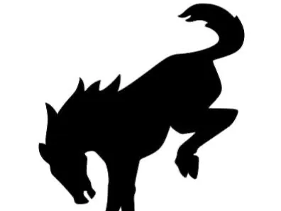 Bronco Flexi