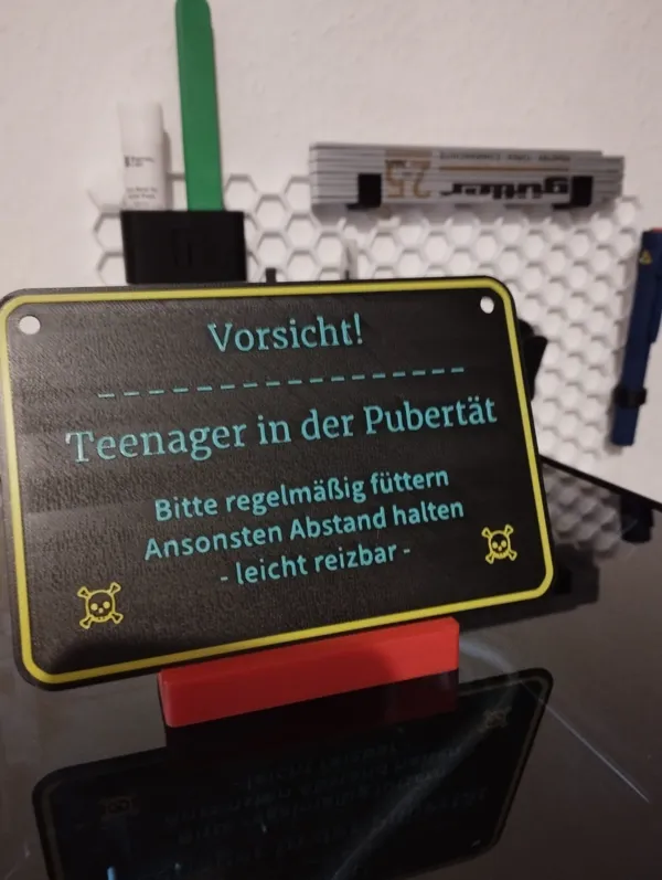 https://makerworld.bblmw.com/makerworld/model/USd0b9a254008d29/design/2024-01-11_59cfbb00bb5de.jpeg